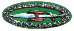 Combat Commander's Badge (Philippines) .